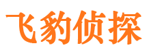 肥东侦探公司